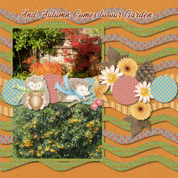 And Autumn comes to our garden