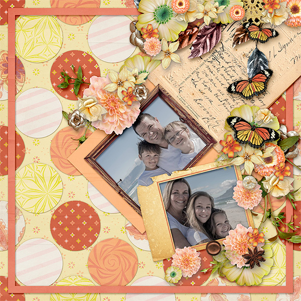 Andrew + Angie