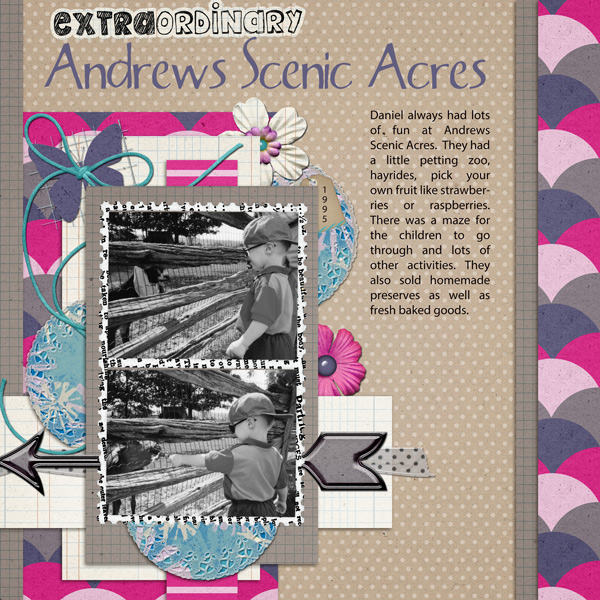 Andrews Scenic Acres