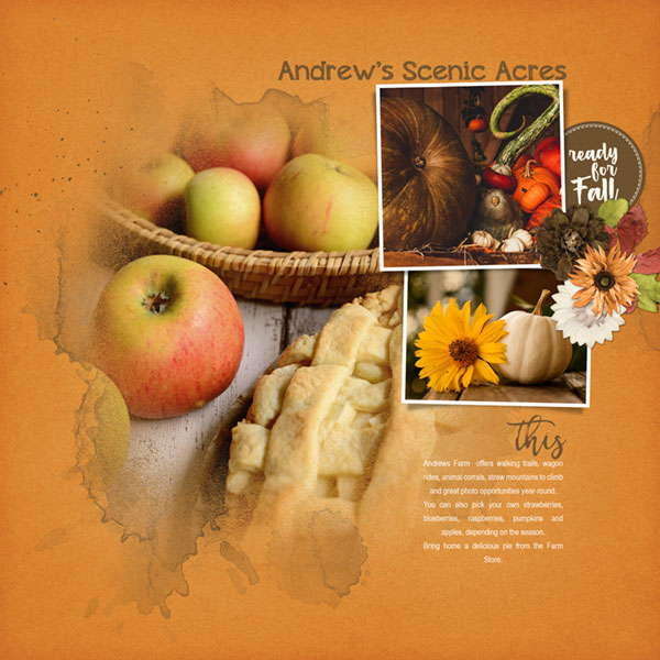 Andrews Scenic Acres