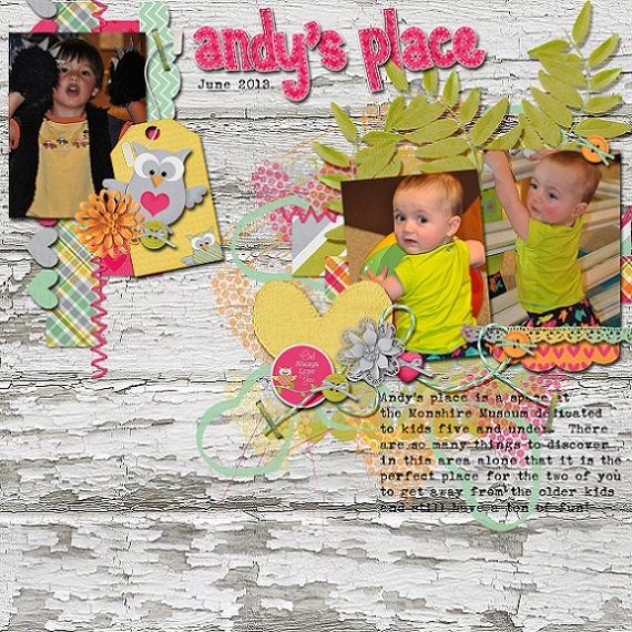 Andy's Place