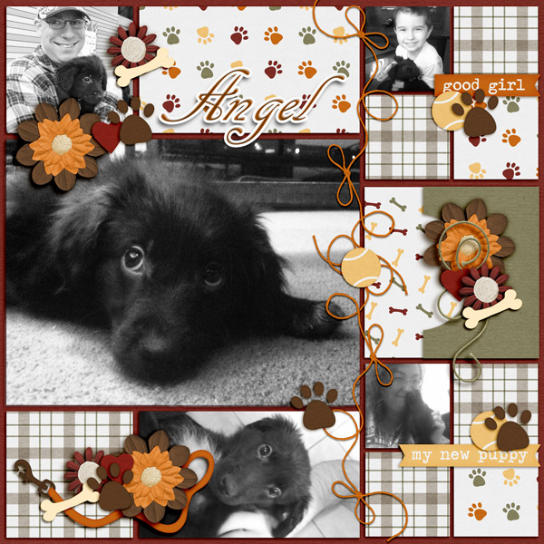 Angel - March 2014