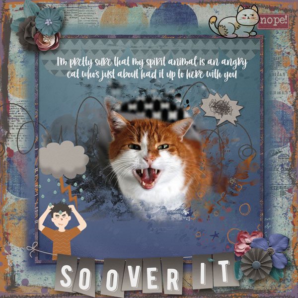 Angry Cat