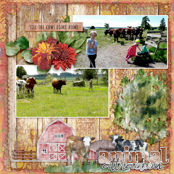 Animal-attraction