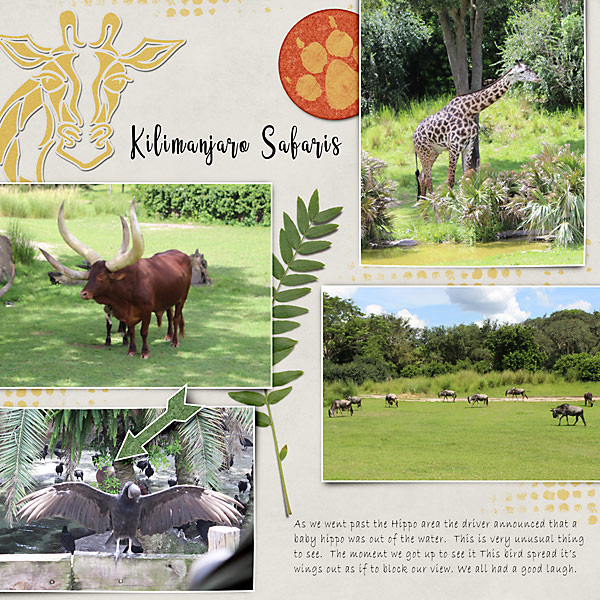 Animal Kingdom 2018 - Safaris pg1