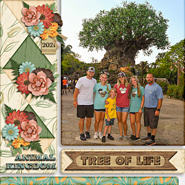 Animal kingdom 2021