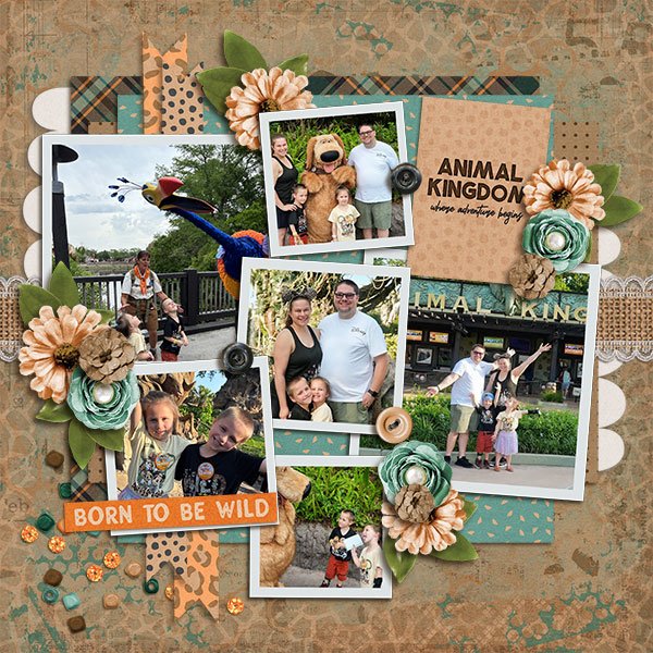 Animal Kingdom Adventure