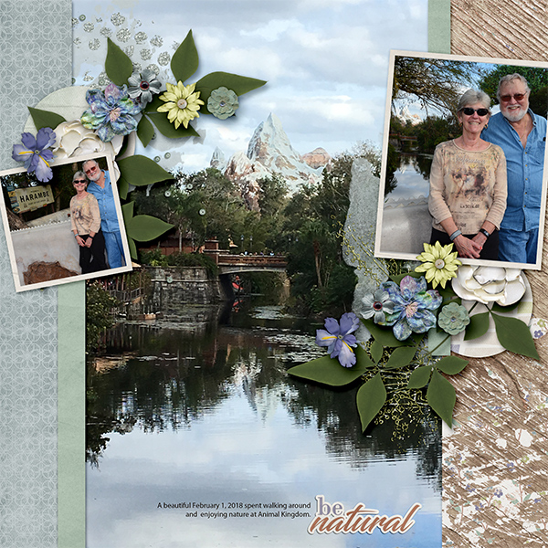 Animal Kingdom and view
