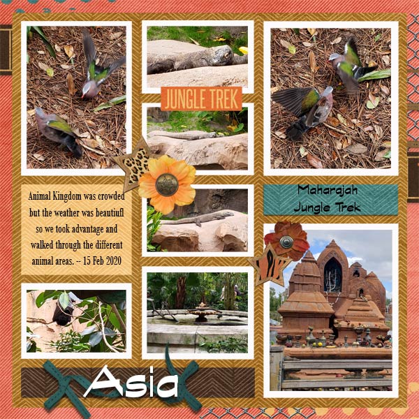 Animal Kingdom Asia