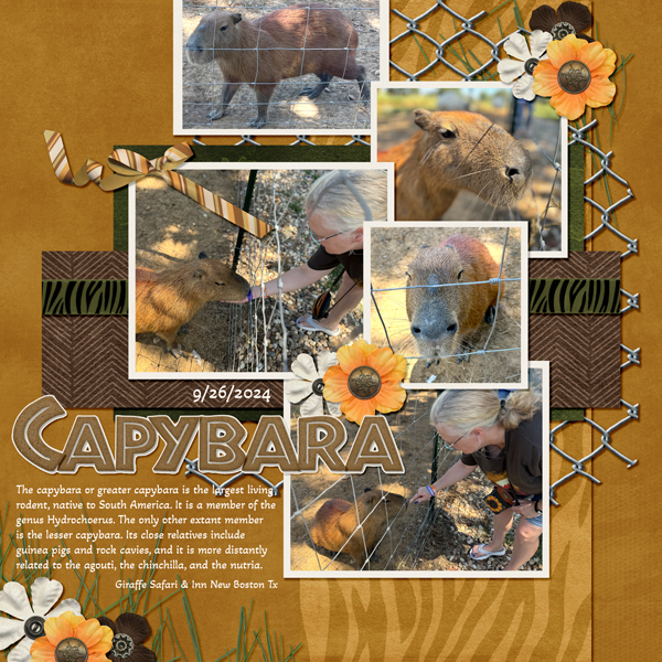 Animal Kingdom bundle from Designs by Connie Prince
