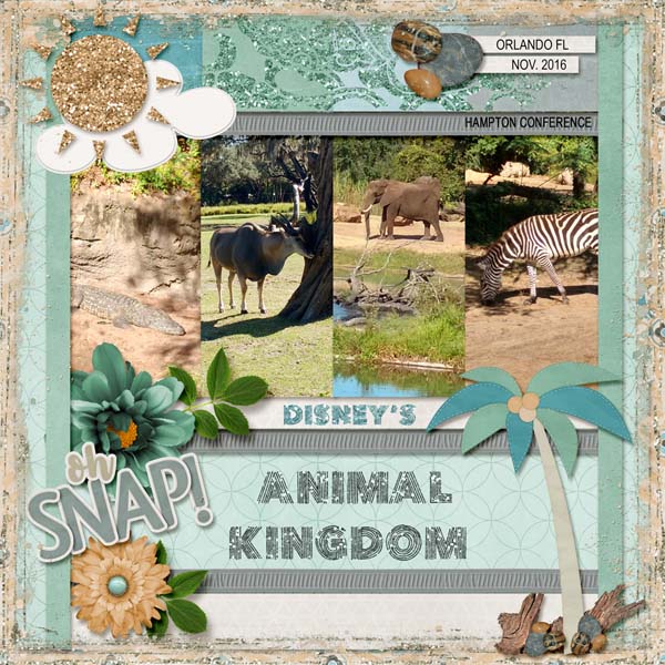 Animal Kingdom FL