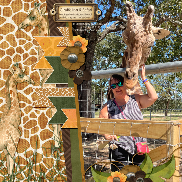 Animal Kingdom from Designs by Connie Prince