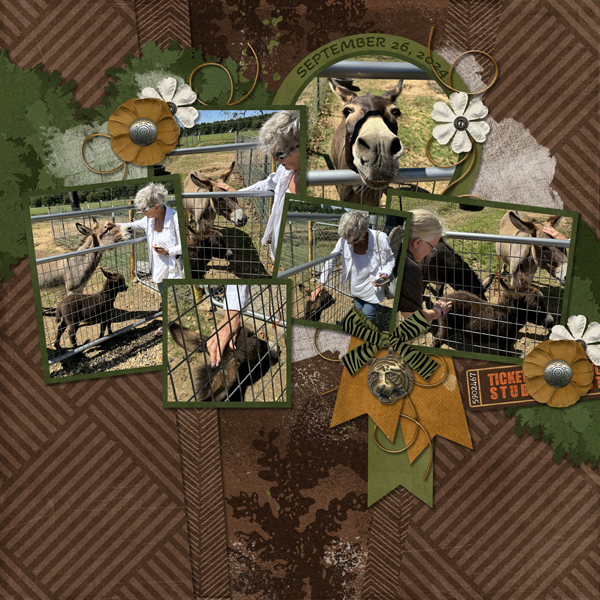 Animal Kingdom from Designs by Connie Prince