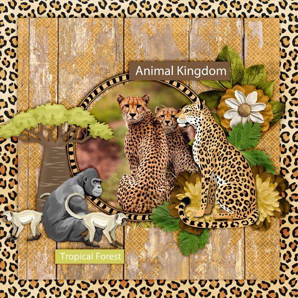 Animal-Kingdom.jpg