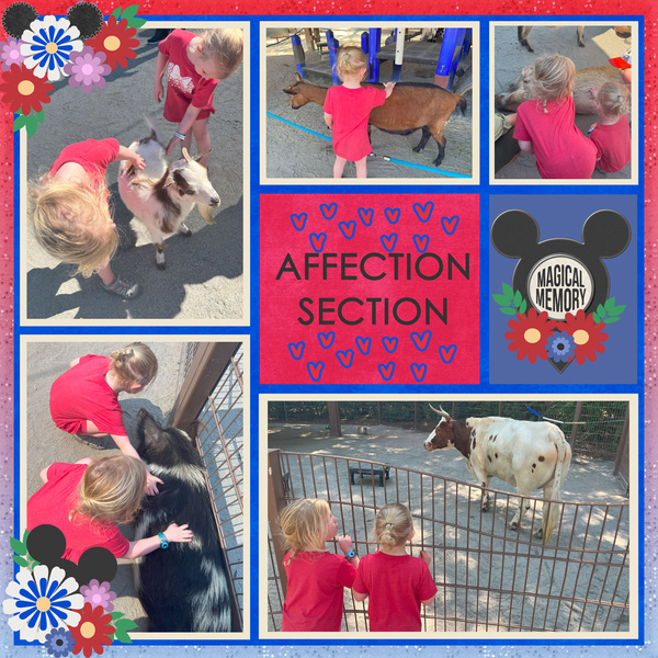 Animal Kingdom petting zoo