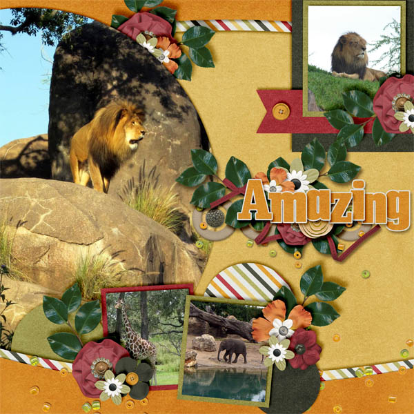 Animal Kingdom Safari