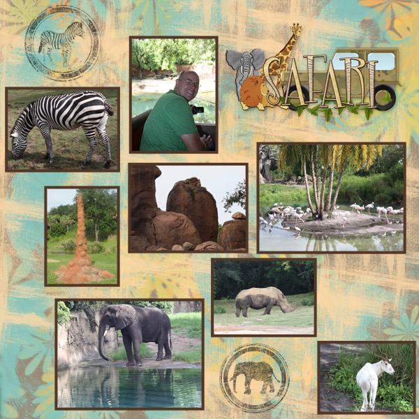 Animal Kingdom Safari