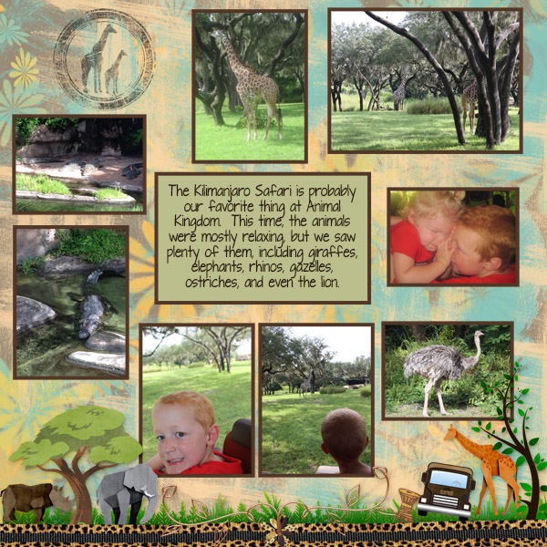 Animal Kingdom Safari