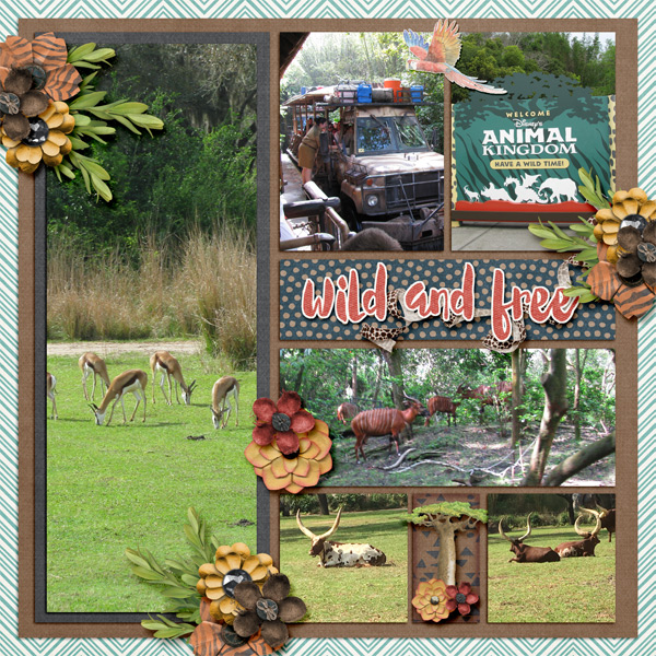 Animal Kingdom safari