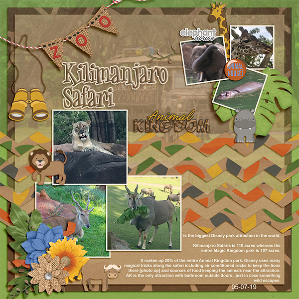 Animal Kingdom Safari