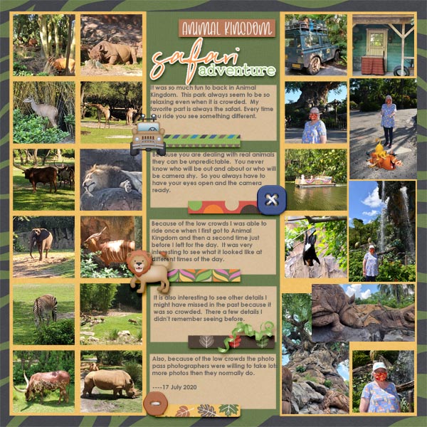 Animal Kingdom Safari