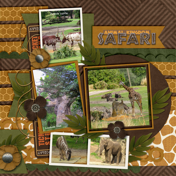 Animal Kingdom Safari