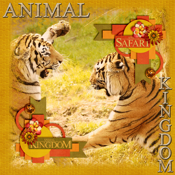 Animal Kingdom
