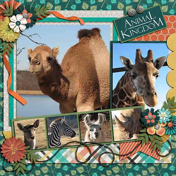 Animal Kingdom