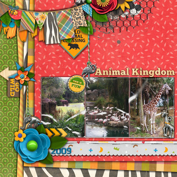 Animal Kingdom