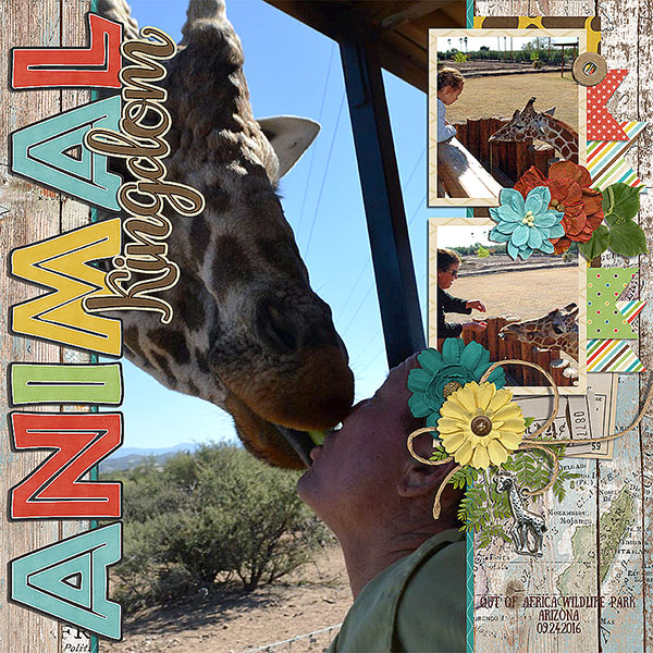 animal kingdom