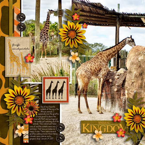 Animal Kingdom