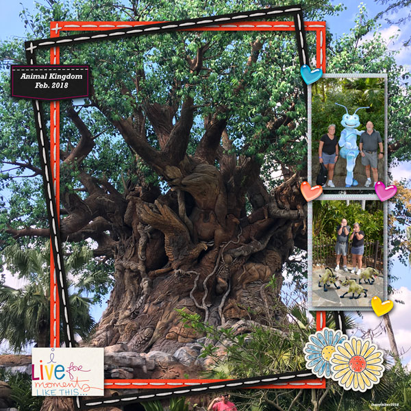 Animal Kingdom