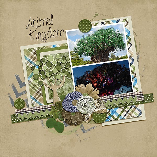 Animal Kingdom