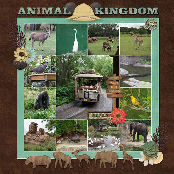 Animal Kingdom