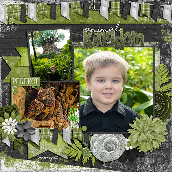 Animal Kingdom