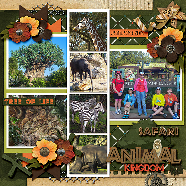 Animal Kingdom