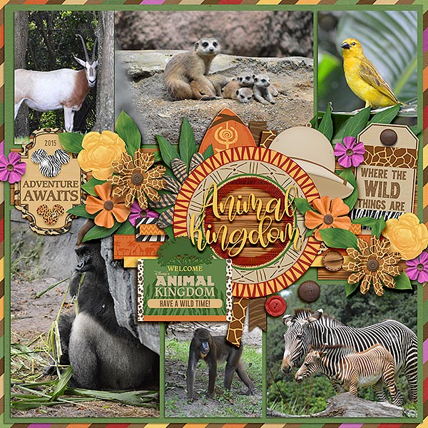 Animal Kingdom