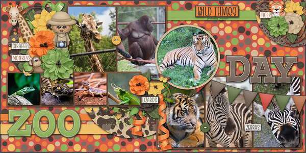 ANIMAL KINGDOM