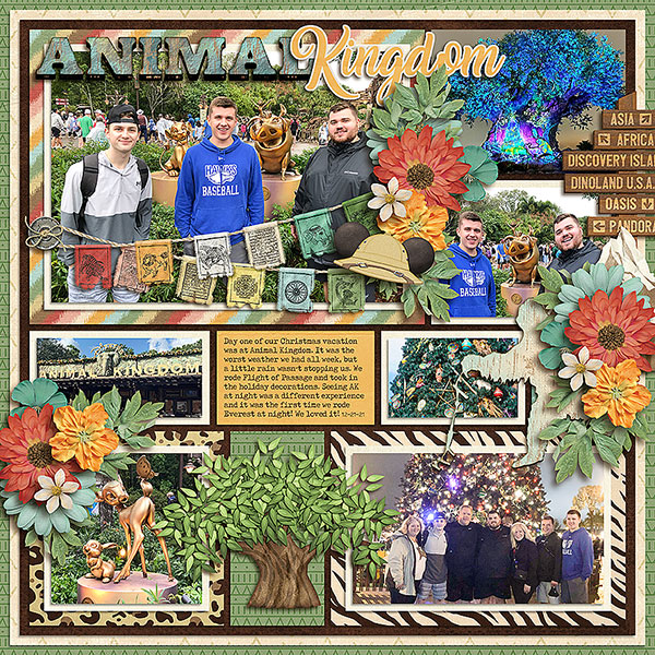 Animal Kingdom