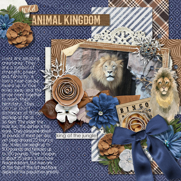 Animal Kingdom