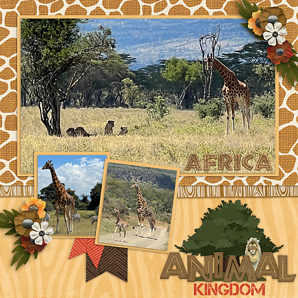 Animal Kingdom