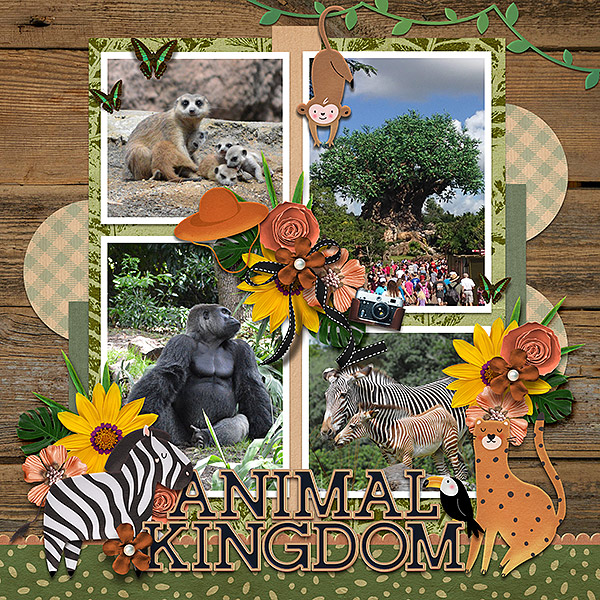 animal kingdom