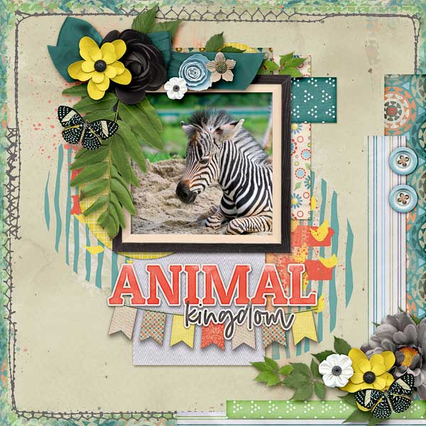Animal Kingdom
