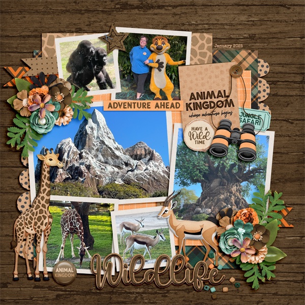Animal Kingdom