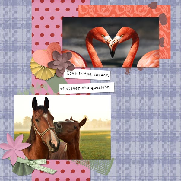 Animal Love