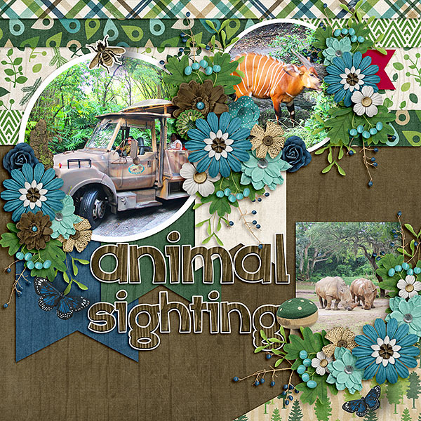 Animal Sighting
