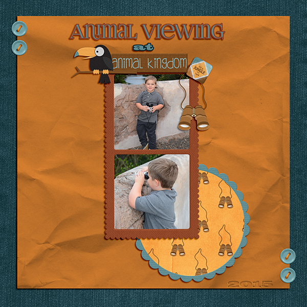 Animal Viewing