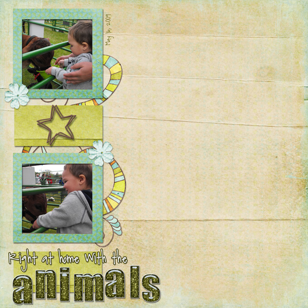 Animal