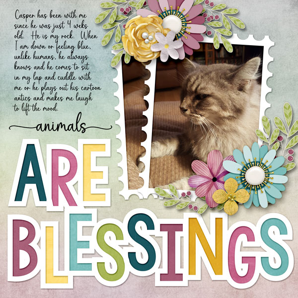 Animals are Blessings