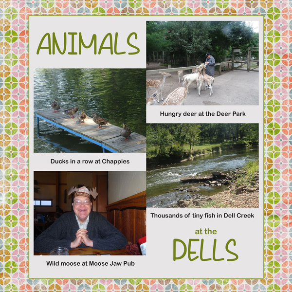Animals at the Dells